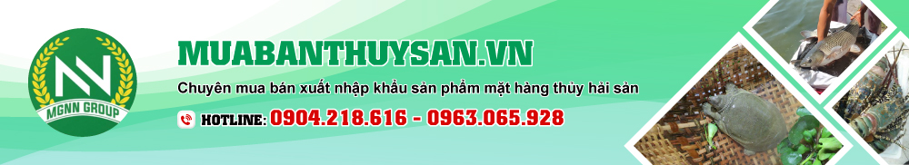 Sản phẩm test